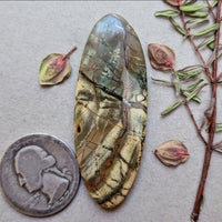 Cherry Creek Jasper Large Oval Cabochon