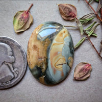 Morrisonite Jasper Oval Cabochon