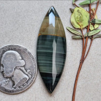 Blue Mountain Jasper Skinny Marquise Cabochon