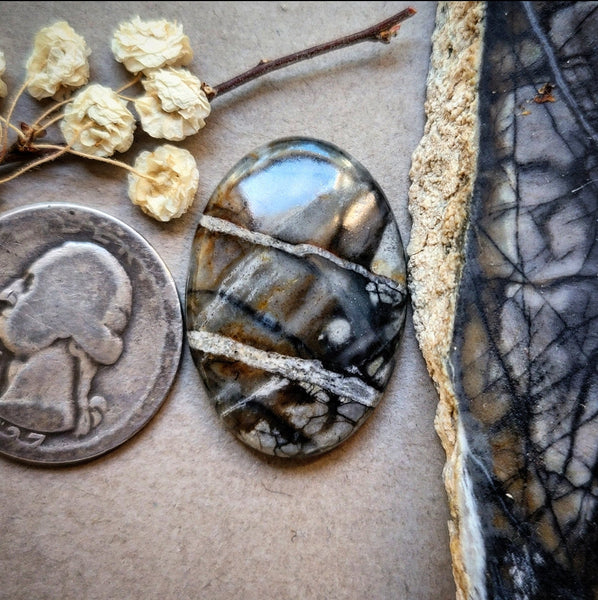 Picasso Stone Oval Cabochon