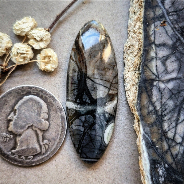Picasso Stone Long Skinny Oval Cabochon
