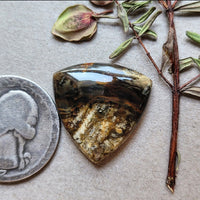Blue Mountain Jasper Trillion Cabochon