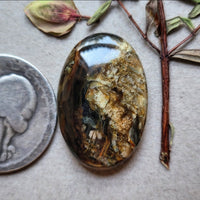 Blue Mountain Jasper Oval Cabochon