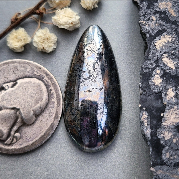 Native Silver Talon Cabochon