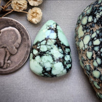 Angel Wing Teardrop Cabochon