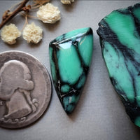 Desert Oasis Freeform Cabochon