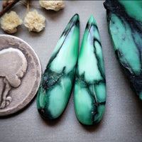 Desert Oasis Talon Earring Pair Cabochon