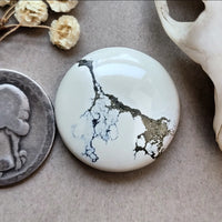 Ivory Creek Perfect Round Cabochon