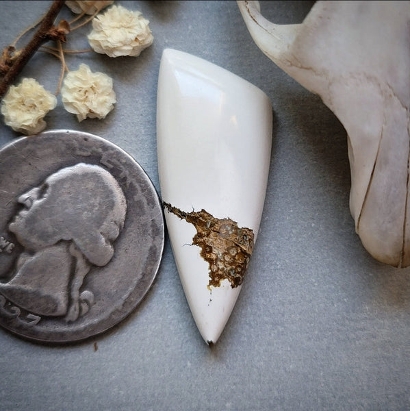 Ivory Creek Freeform Cabochon