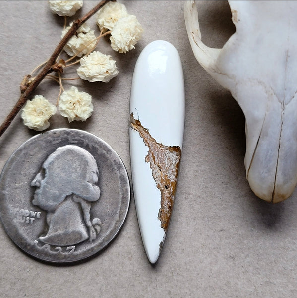 Ivory Creek Talon Cabochon