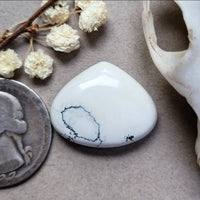 Ivory Creek Fan Shape Cabochon