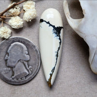 Ivory Creek Talon Cabochon