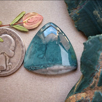 Skaggs Jasper Trillion Cabochon