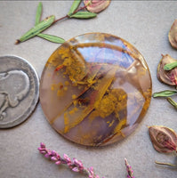 Oregon Sunset Jasper Super Round Cabochon