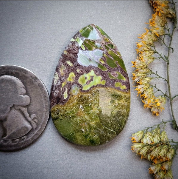 Paisley Dreams Variscite Teardrop Cabochon