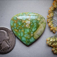 Paisley Dreams Variscite Fan Shape Cabochon