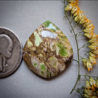 Paisley Dreams Variscite Teardrop Cabochon