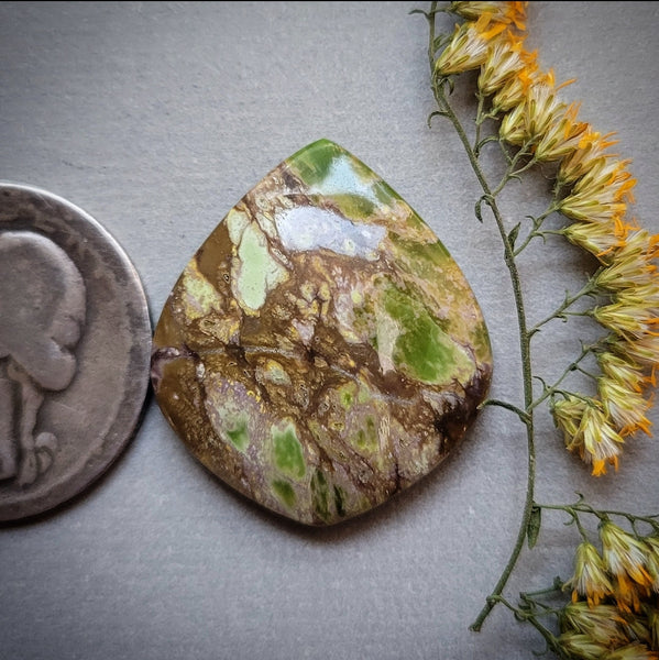 Paisley Dreams Variscite Teardrop Cabochon