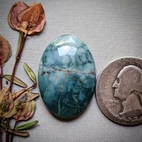 Skaggs Jasper Oval Cabochon