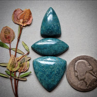Skaggs Jasper Trillion Marquise Set Cabochon