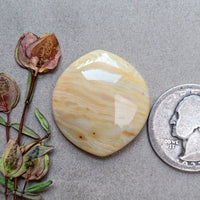 Oregon Sunset Jasper Chunky Marquise Cabochon