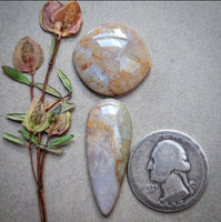 Oregon Sunset Jasper Marquise Teardrop Set Cabochon