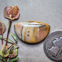 Oregon Sunset Jasper Half Moon  Cabochon