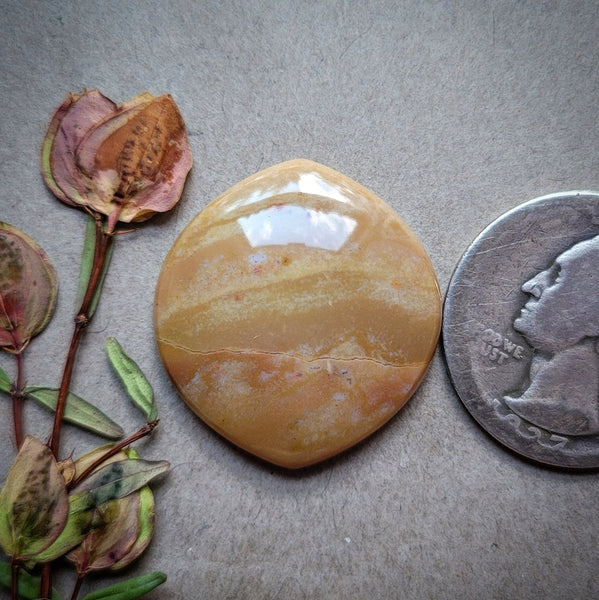Oregon Sunset Jasper Chunky Marquise Cabochon