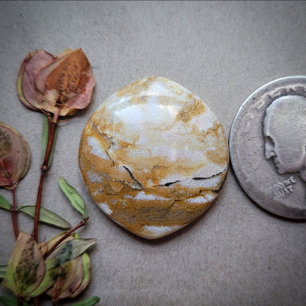 Oregon Sunset Jasper Chunky Marquise Cabochon