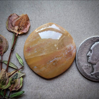 Oregon Sunset Jasper Chunky Marquise Cabochon