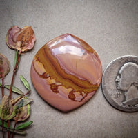 Red Falcon Jasper Large Marquise Cabochon