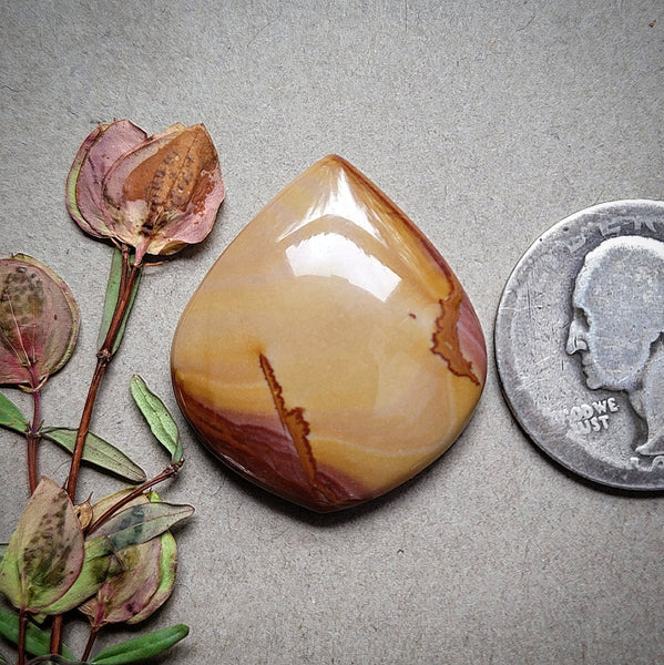 Red Falcon Jasper Teardrop Cabochon