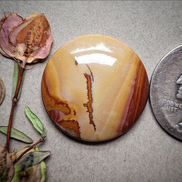 Red Falcon Jasper Round Cabochon