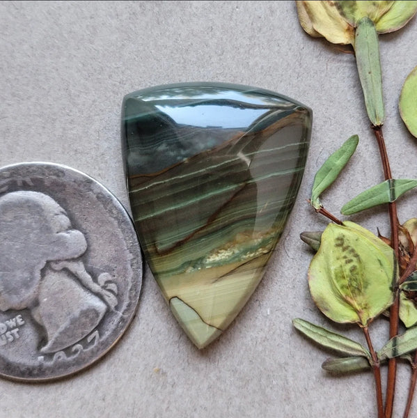 Blue Mountain Jasper Teardrop Cabochon