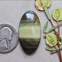 Blue Mountain Jasper Round Cabochon