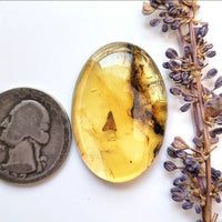 Chiapas Amber Oval Cabochon