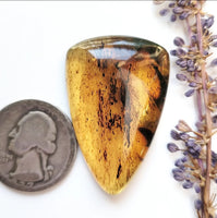 Chiapas Amber Freeform Cabochon