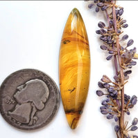 Chiapas Amber Skinny Long Marquise Cabochon